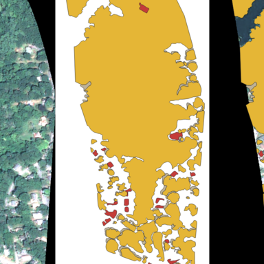 Vegetation Segmentation